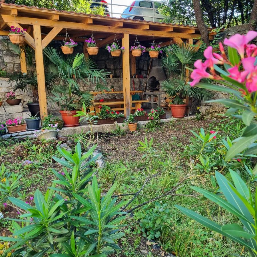 Villa Carolina غييكا المظهر الخارجي الصورة